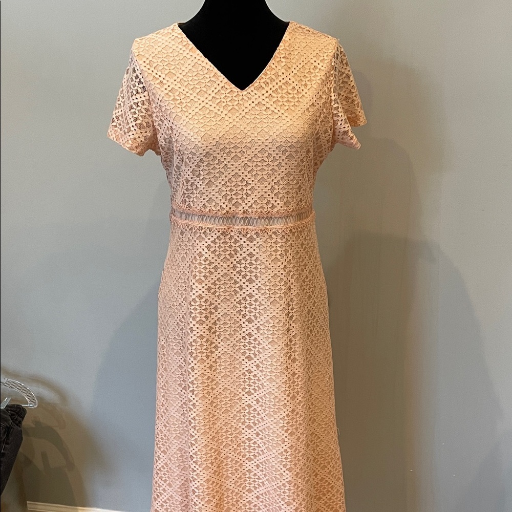 Lace V-Neck Short Sleeve Dress in Blush zips in back lined like new